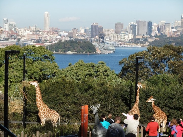 a2aa4-zoowithaview-copy