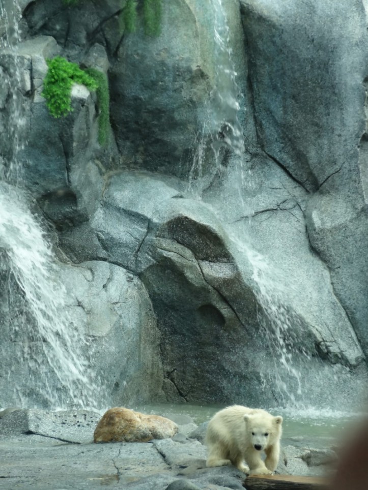 2320d-seaworldclaresvisitsep2013042