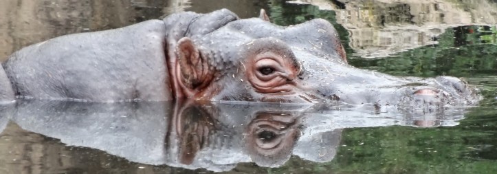 5a798-melbourneandweeribee577