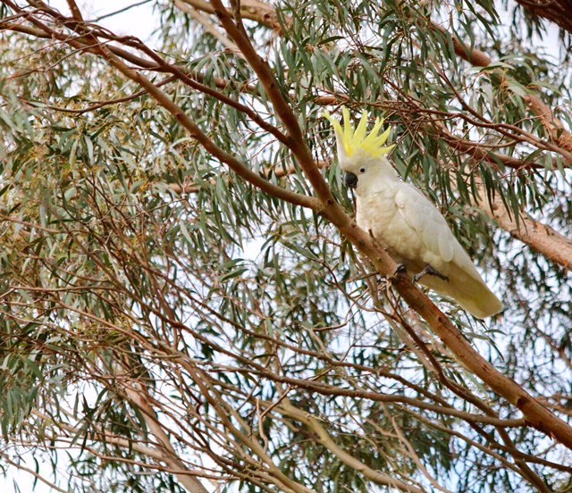 32f09-great2bocean2broad2b12