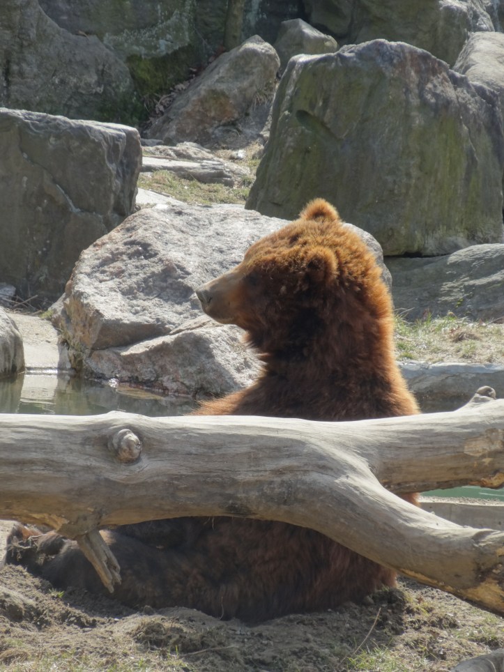 New York 2013Part One 610