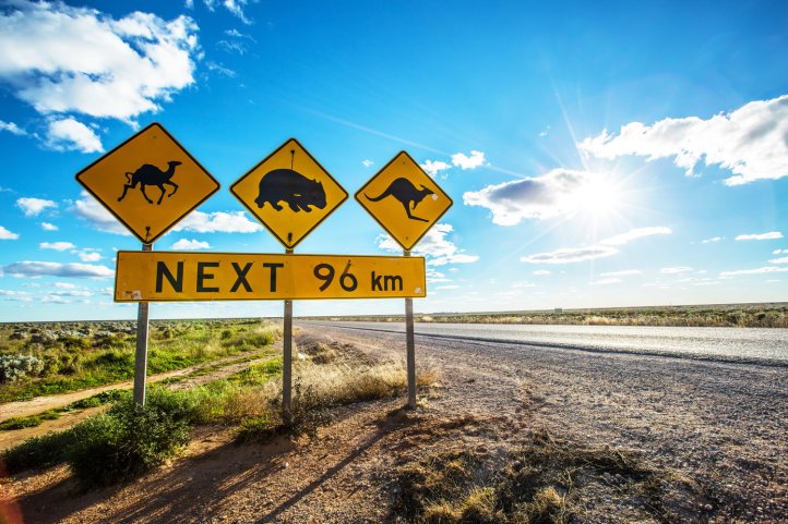 Eyre Highway, Nullarbor